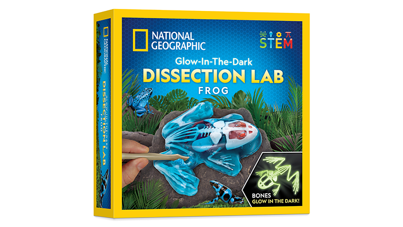National Geographic Glow-in-the-Dark Frog Dissection Lab